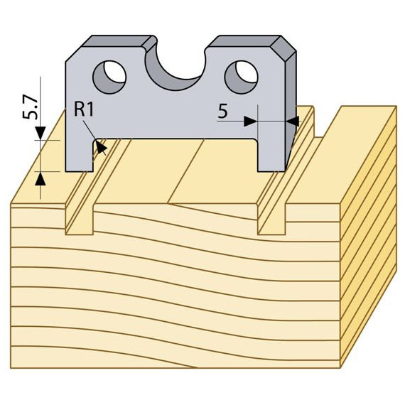 94219 HSS