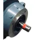 kopi av Electrisk motor, 8 kW 230/400V ES5/ES8/E5/E8 Speed